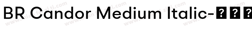 BR Candor Medium Italic字体转换